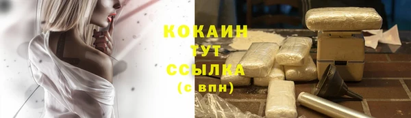 дживик Зеленодольск
