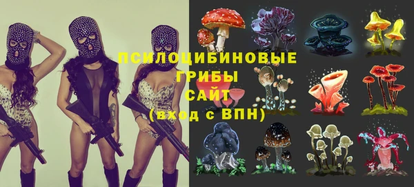дживик Зеленодольск