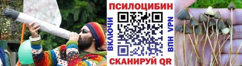 Галлюциногенные грибы MAGIC MUSHROOMS  Новый Уренгой 